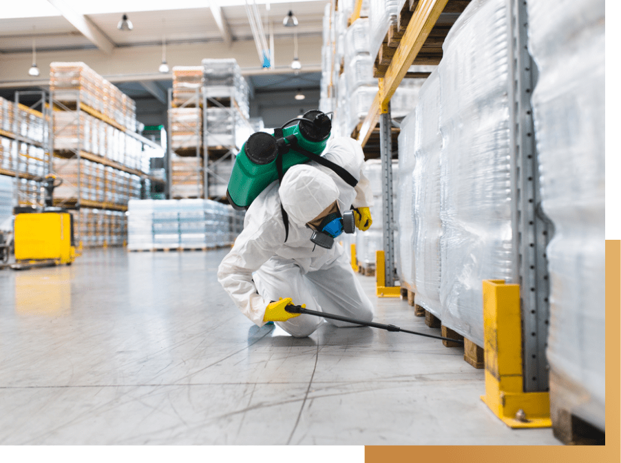 pest control expert spraying on a facility